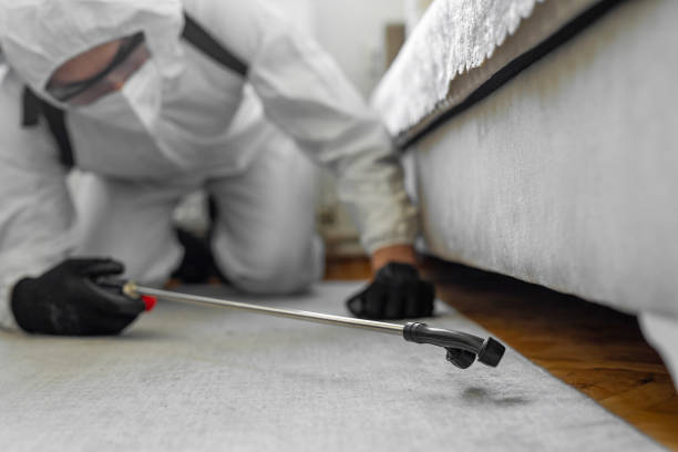 Professional Bed Bug Control technician working in Brooklyn, IA